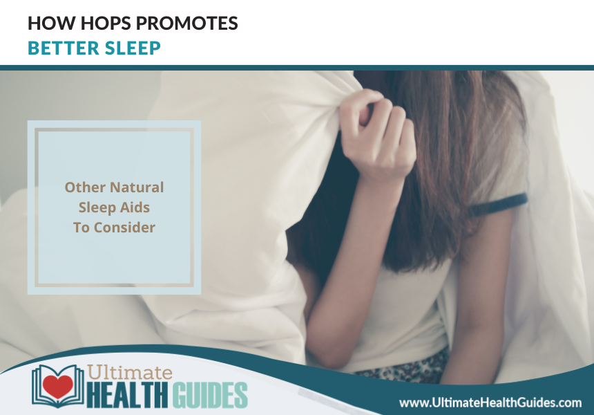 How Hops Promotes Better Sleep Ultimate Health Guides