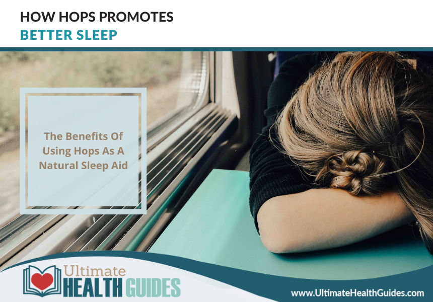 How Hops Promotes Better Sleep Ultimate Health Guides