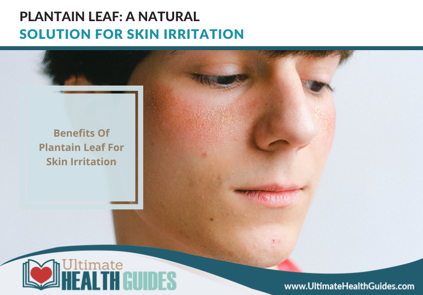 Plantain Leaf A Natural Solution For Skin Irritation Ultimate Health