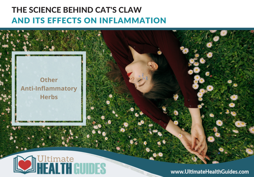 The Science Behind Cat's Claw And Its Effects On Inflammation